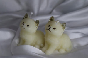 Catty Lover qandeelofficial