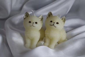 Catty Lover qandeelofficial