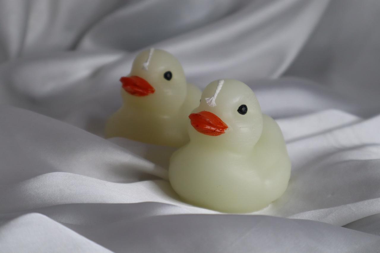 Duck Candle qandeelofficial